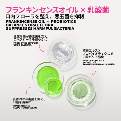 Ｎ２ＦＡトゥースペースト